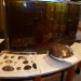 native mussel display in the visitors center