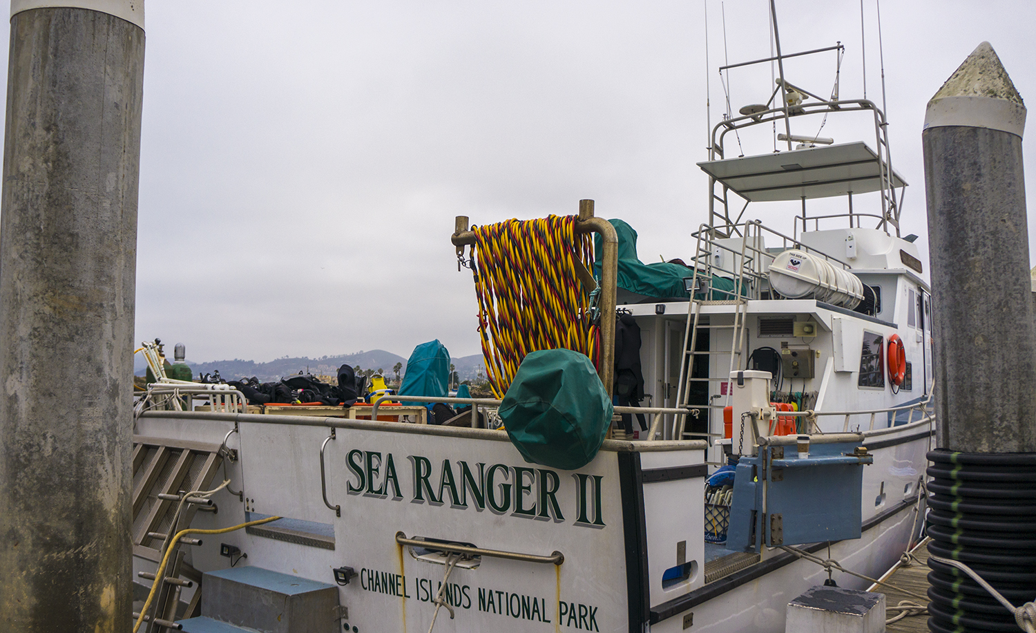Kelp Forest Monitoring in the Channel Islands | Our World – Underwater  Scholarship Society™