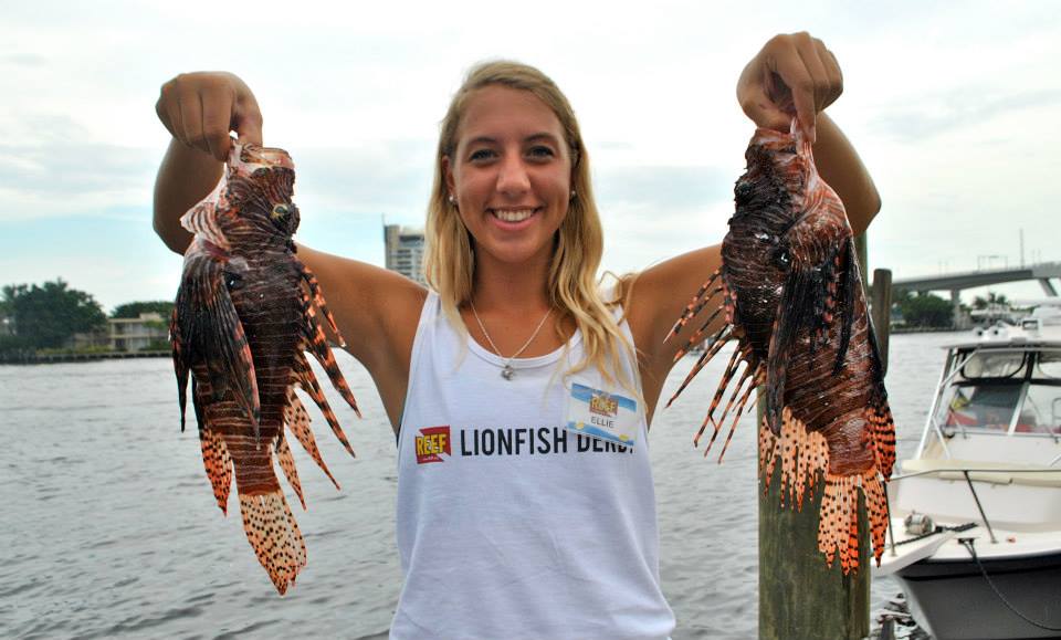 Florida Lionfish Derby Series Our World Underwater Scholarship Society 