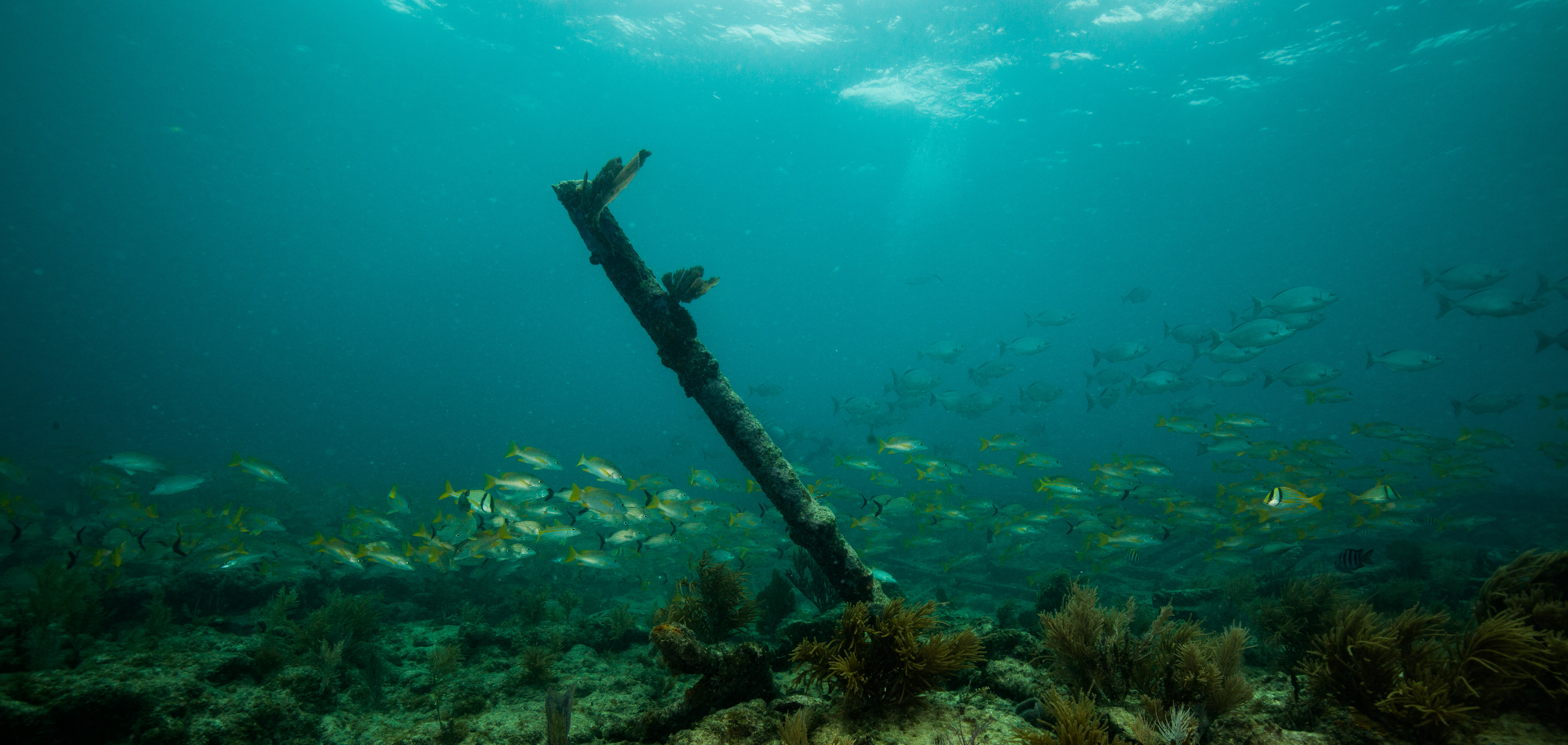 Traveling the Maritime Heritage Trail in Biscayne National Park