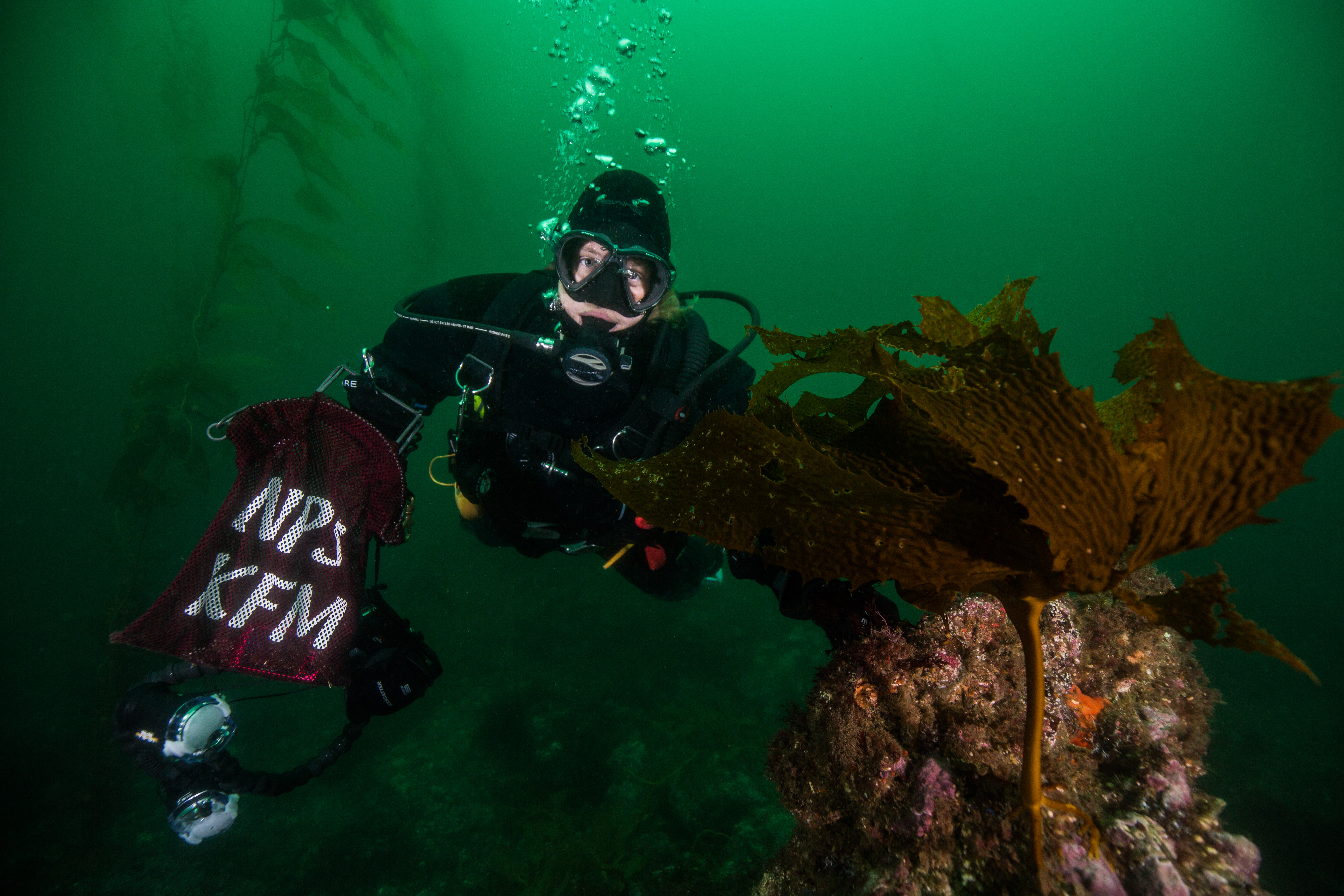 How to Dive Channel Islands National Park