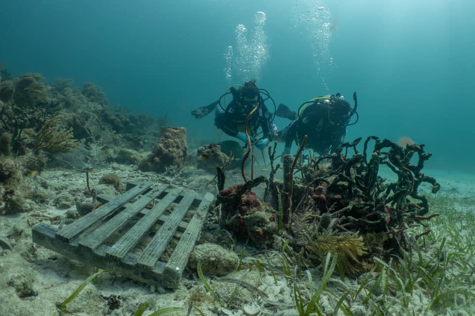 two scuba divers looking at a derelict lobster trap underwater