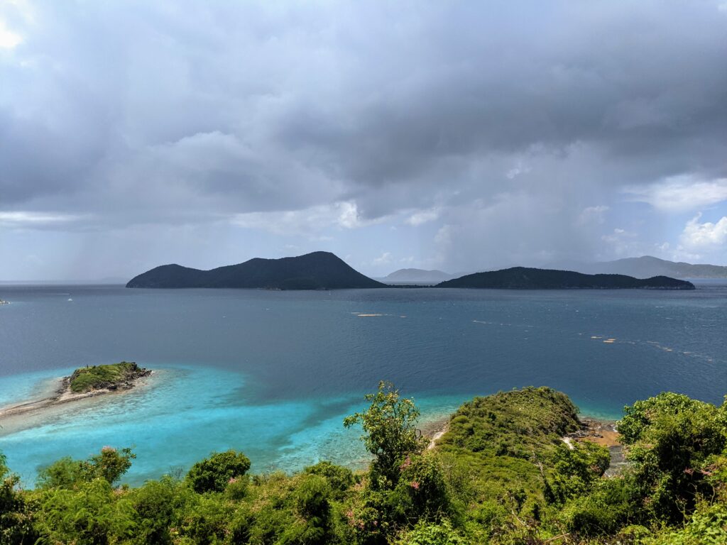 Vintage 90s Washed Out St Croix Coral Reef US Virgin Islands USVI