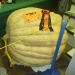 prize-winning pumpkin, Minnesota State Fair