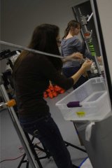 2012_bonnier_photo-2-7