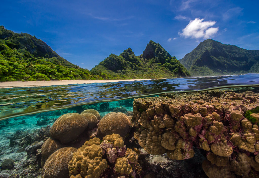 Discovering The Heat Resistant Reefs Of Ofu Island At The National Park Of American Samoa Our